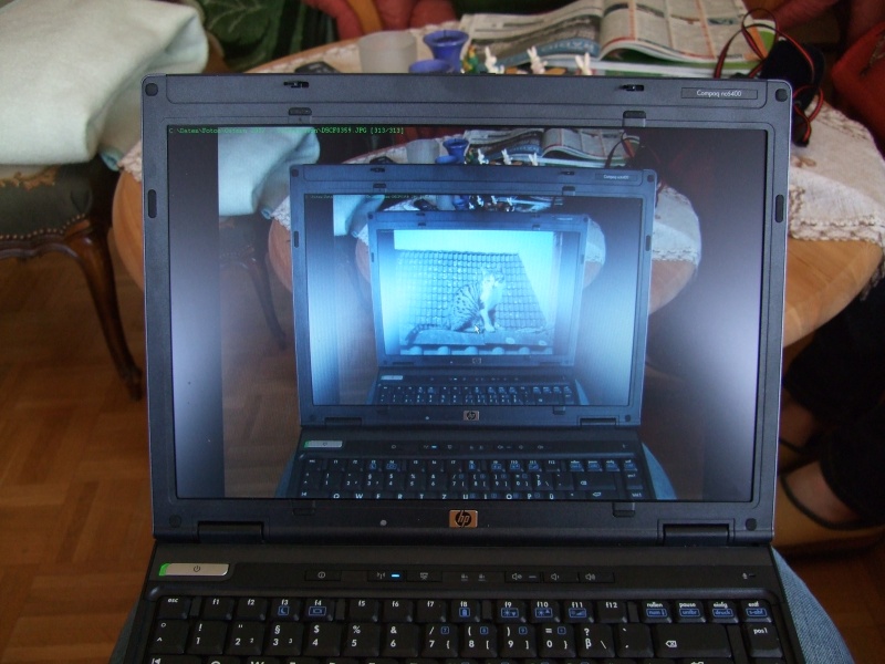 Ostern 2007 Orleshausen 143 